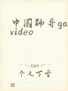 中国帅哥gayvideo