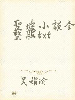 圣墟小说全集完整版txt封面