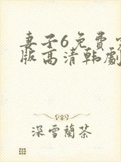 妻子6免费完整版高清韩剧观看