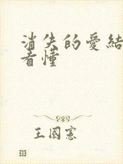 消失的爱结局没看懂