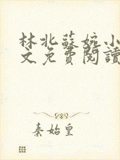 林北苏婉小说全文免费阅读最新