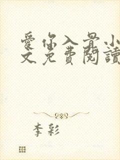 爱你入骨小说全文免费阅读封面