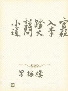 小说踏入官场医道问天李毅在线阅读封面