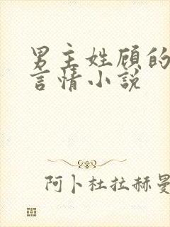 男主姓顾的现代言情小说