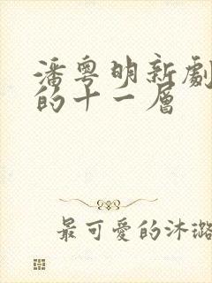 潘粤明新剧消失的十一层