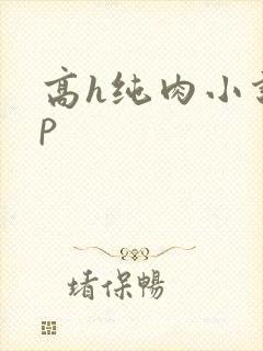 高h纯肉小说np