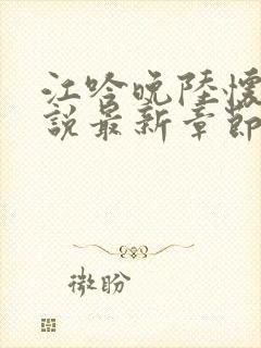 江吟晚陆怀璟小说最新章节更新时间封面