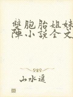 双胞胎姐妹齐上阵小说全文阅读