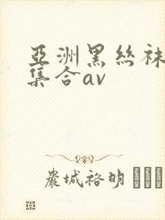 亚洲黑丝袜极品集合av