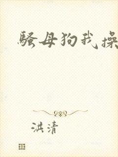 骚母狗我操死你