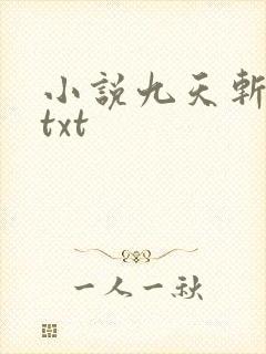 小说九天斩神诀txt