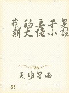 我的妻子是大乘期大佬小说第一部