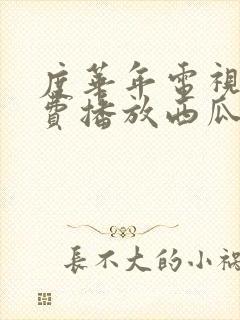 度华年电视剧免费播放西瓜网