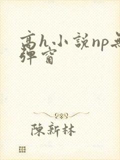 高h小说np无弹窗