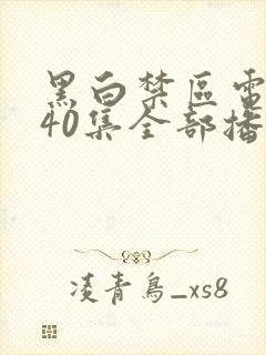 黑白禁区电视剧40集全部播放