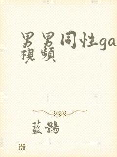 男男同性gay视频