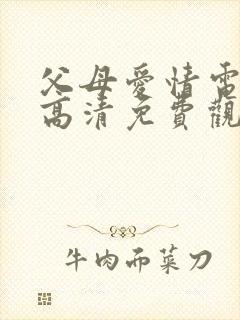 父母爱情电视剧高清免费观看完整版