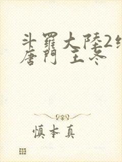 斗罗大陆2绝世唐门 王冬封面