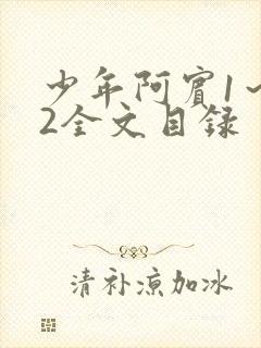 少年阿宾1～72全文目录