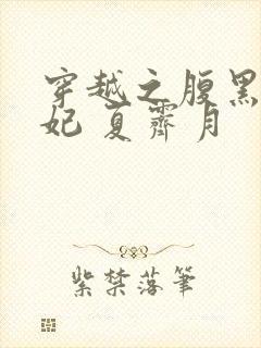 穿越之腹黑世子妃 夏霁月