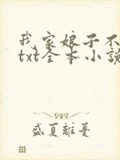 我家娘子不对劲txt全本小说