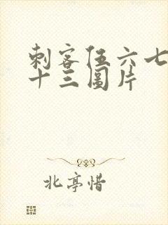 刺客伍六七梅花十三图片封面