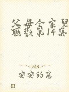 父母全家儿女大联欢第14集封面