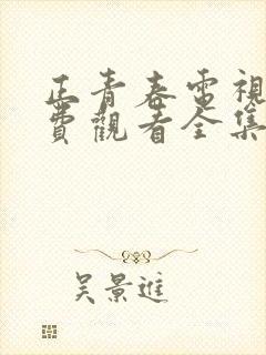 正青春电视剧免费观看全集西瓜