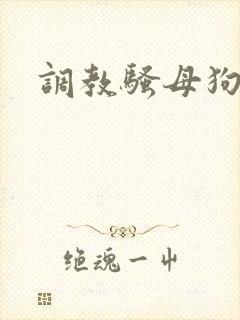 调教骚母狗主人封面