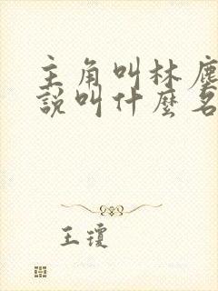 主角叫林尘的小说叫什么名字封面