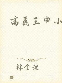 高义王申小说