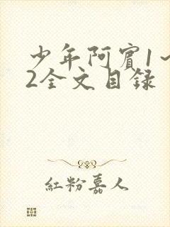 少年阿宾1～72全文目录