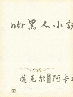 ntr黑人小说