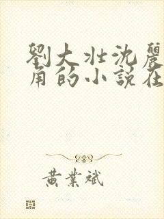 刘大壮沈丽娟主角的小说在线阅读