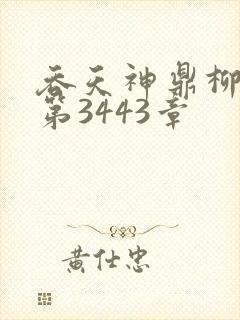 吞天神鼎柳无邪第3443章