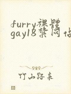 furry裸体gay18禁网站