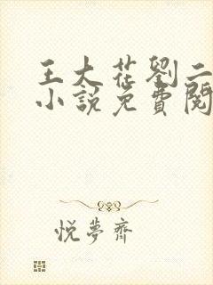 王大花刘二毛的小说免费阅读