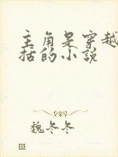 主角是穿越成赵括的小说