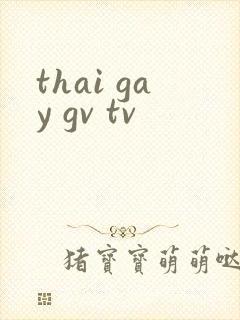 thai gay gv tv封面