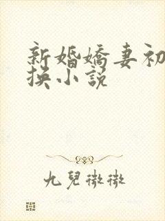 新婚娇妻初尝交换小说