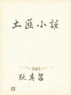 土匪小说