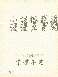 小说总裁追妻路漫漫免费阅读全文