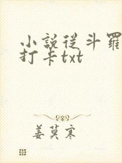 小说从斗罗开始打卡txt