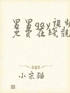 男男gay视频免费在线观看封面