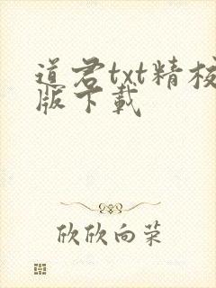 道君txt精校版下载封面