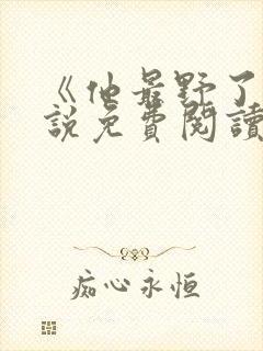 《他最野了》小说免费阅读