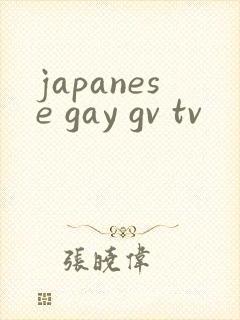 japanese gay gv tv封面