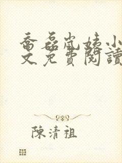 乔磊岚姨小说全文免费阅读