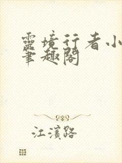 灵境行者小说,笔趣阁