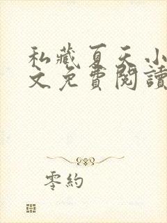 私藏夏天小说全文免费阅读笔趣阁